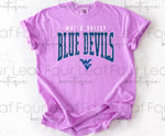 Load image into Gallery viewer, Water Valley Blue Devils -- High School
